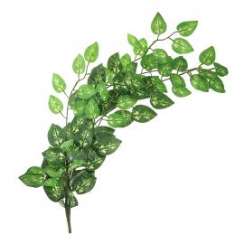 Lapelių vijoklis 105 cm (žalia)